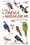 Guide Des Oiseaux De Madagascar