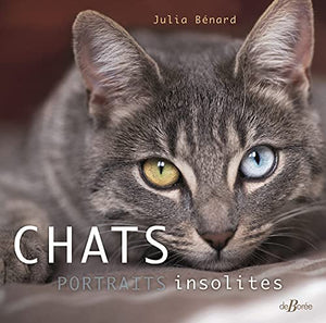 Chats, portraits insolites