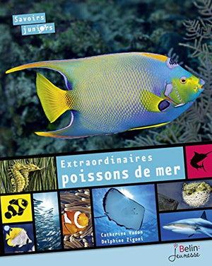 Extraordinaires poissons de mer