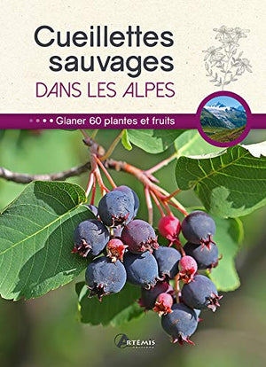 Cueillettes sauvages dans les Alpes