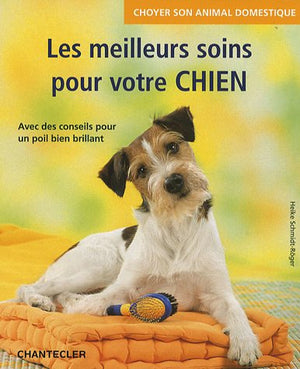 Les meilleurs soins pour votre chien