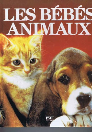 Les bébés animaux