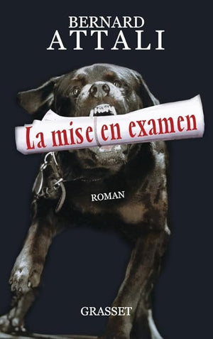 La mise en examen