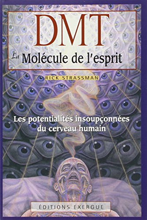 DMT, la molécule de l'esprit