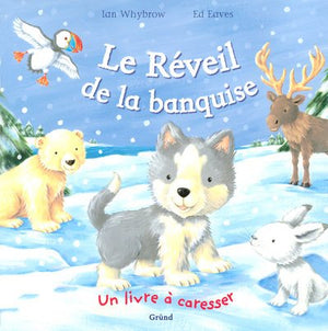 Réveil de la banquise