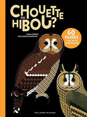 Chouette ou Hibou ?