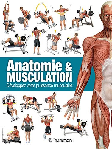 Anatomie & musculation