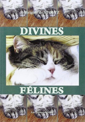 Divines felines