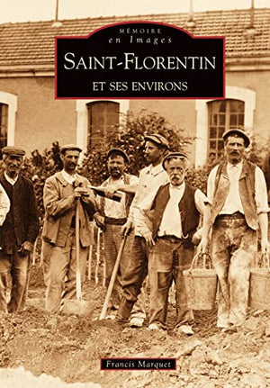 Saint-Florentin et ses environs