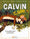 Calvin et Hobbes, tome 15 : Complètement surbookés !