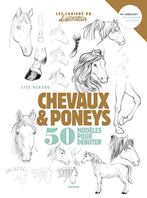 Dessiner chevaux et poneys