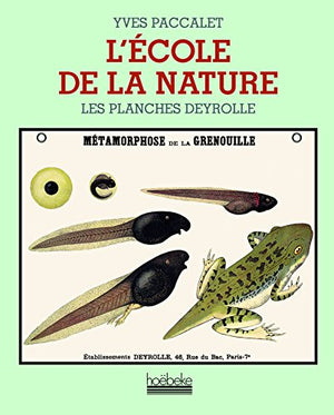 L'école de la nature: Les planches Deyrolle