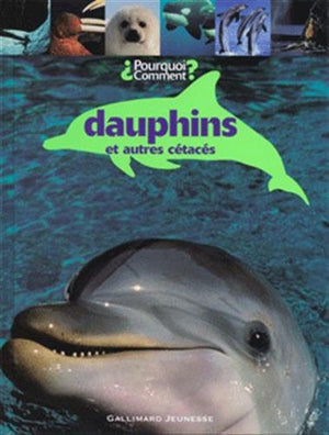 Dauphins et autres cétacés