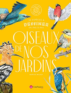 Oiseaux de nos jardins