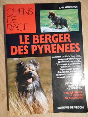 Le berger des Pyrénées