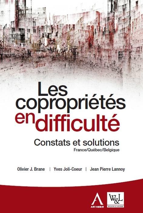 LES COPROPRIETES EN DIFFICULTE 2EME ED: CONSTATS ET SOLUTIONS FRANCE QUEBEC BELGIQUE