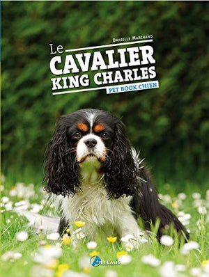 Le Cavalier King Charles