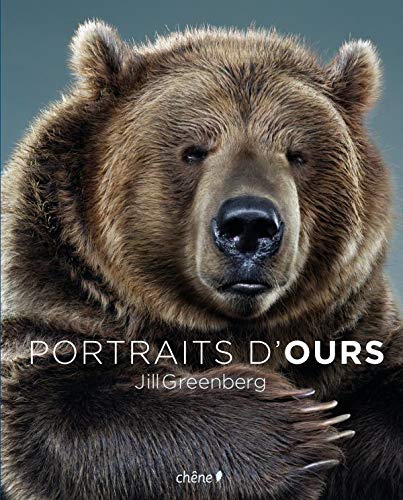 Portraits d'ours