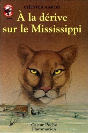 À la dérive sur le Mississippi