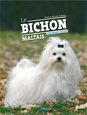 Le bichon maltais