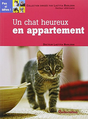 Chat heureux en appartement