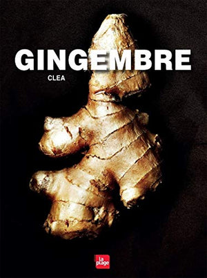 Gingembre