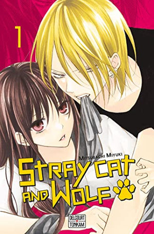 Stray cat and wolf T01