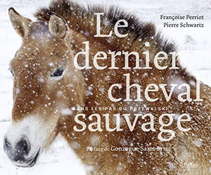 Le dernier cheval sauvage