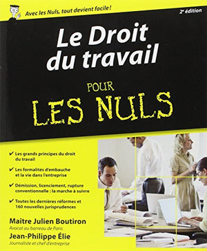 Le Droit du travail pour les Nuls, 2e