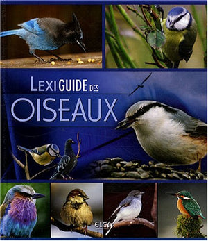 Lexiguide des oiseaux