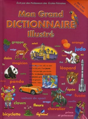 Mon grand dictionnaire illustré