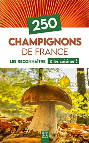 250 Champignons de France