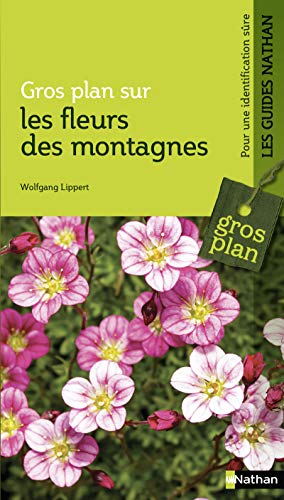 Les fleurs de montagne