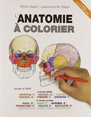 L'anatomie à colorier