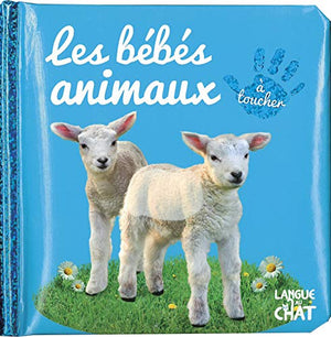 Bébé touche à tout - Les bébés animaux