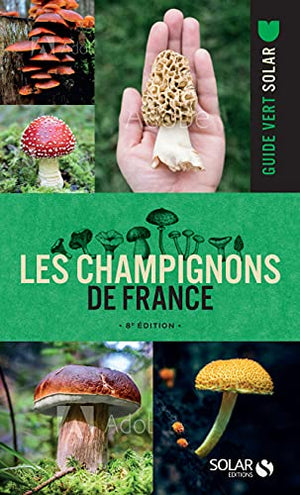 Les champignons de France