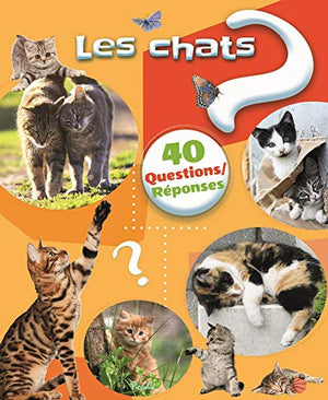 Les chats