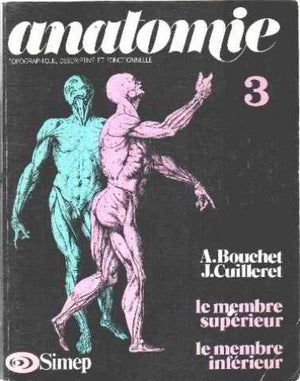 Anatomie