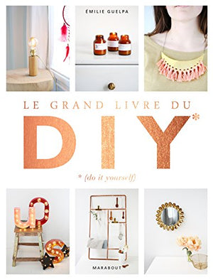 Le grand livre des DIY