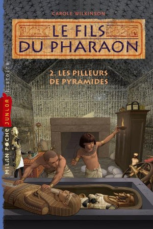 Pilleurs de pyramide