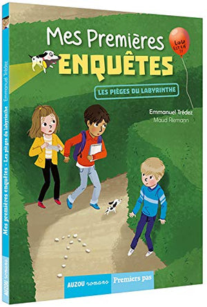 Mes premières enquêtes, Tome 10 : Les pièges du labyrinthe