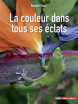 La couleur dans tous ses éclats