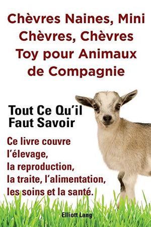 Chèvres naines, mini chèvres, chèvres toy pour animaux de compagnie