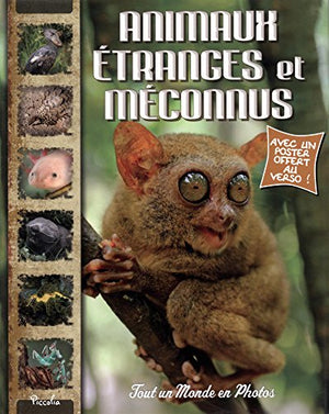 Animaux étranges et méconnus