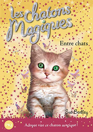 Entre chats