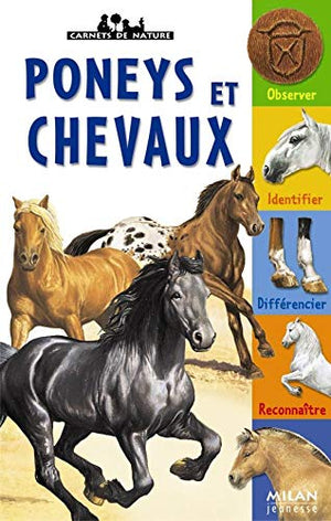 Les poneys et chevaux