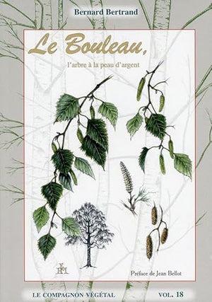 Le bouleau, l'arbre à la peau d'argent