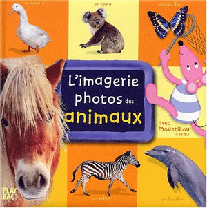 L'imagerie photos de Moustilou - Animaux