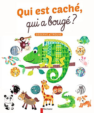 Qui est caché, qui a bougé ?