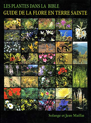 Les plantes dans la Bible : Guide de la flore en Terre Sainte